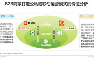b2b平台运营方案，b2b平台运营方案怎么写