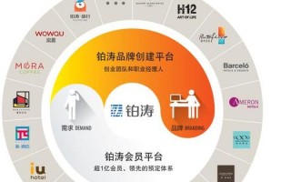 财务与资本运营战略，财务与资本运营战略研究