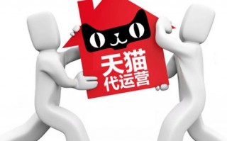 公司和个人合作运营，公司和个人合作运营方案