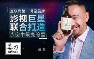 姜力运营模式，姜力企业