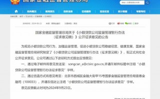 小额贷款公司运营模式，小额贷款公司运营模式流程研究