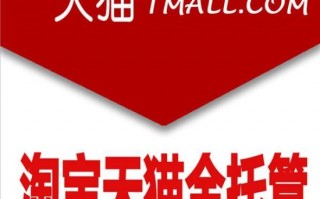 专业天猫代运营，专业天猫代运营公司