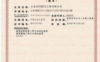 tp运营资质，tp运营主要做什么