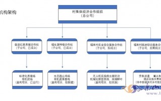 合作社运营方案，合作社运营方案怎么写