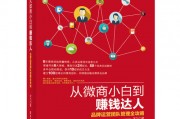 微商品牌运营方案，微商品牌运营方案怎么写
