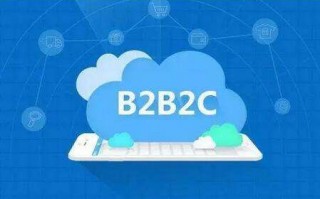 b2b2c运营，b2b2c运营模式