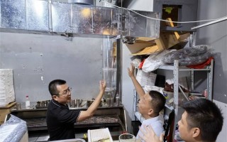 餐饮运营督导工作，餐饮运营督导工作总结