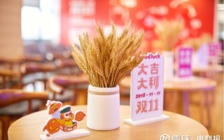 太平鸟电商运营，太平鸟电商运营怎么样