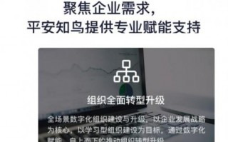 平安知鸟 运营模式，平安知鸟下载