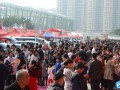 龙岗展会运营公司，龙岗展会运营公司有哪些