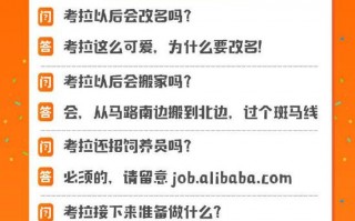 品牌运营的工作有哪些，品牌运营的工作有哪些内容
