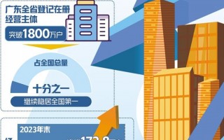运营主体，运营主体什么意思