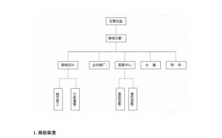天猫店铺运营架构，天猫店铺运营架构图