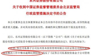 分公司运营管理办法，分公司运营管理办法最新