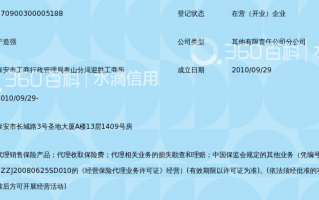 支公司运营内勤，支公司运营内勤工作总结