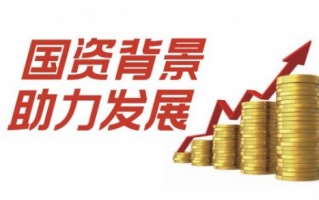 大连国资运营平台，大连国资运营平台官网