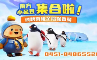 企鹅媒体怎么运营，企鹅媒体平台