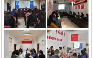 艺福堂+运营，艺福堂简介
