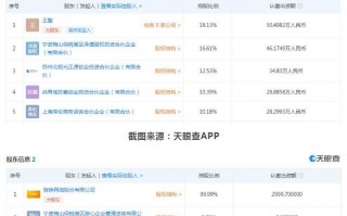 怎么查app运营公司，怎么查app是哪个公司开发的