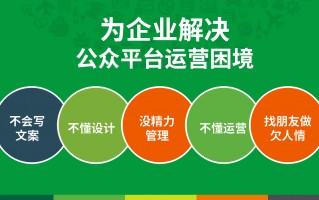 政府公众号代运营方案，政务公众号代运营
