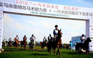 赛马运营公司 平潭，赛马运营公司 平潭分公司