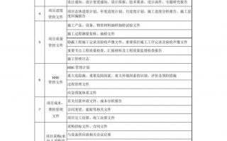 项目运营过程管理制度，项目运营工作内容